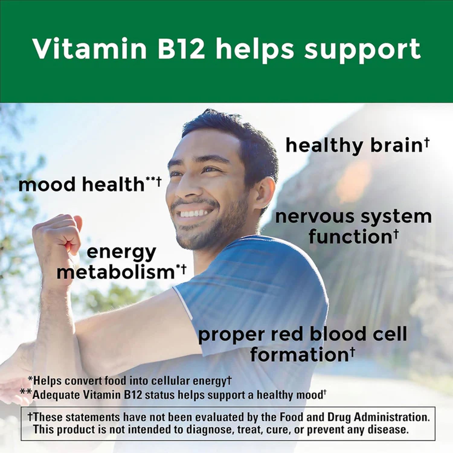 Nature Made Vitamin B12 1000 Mcg